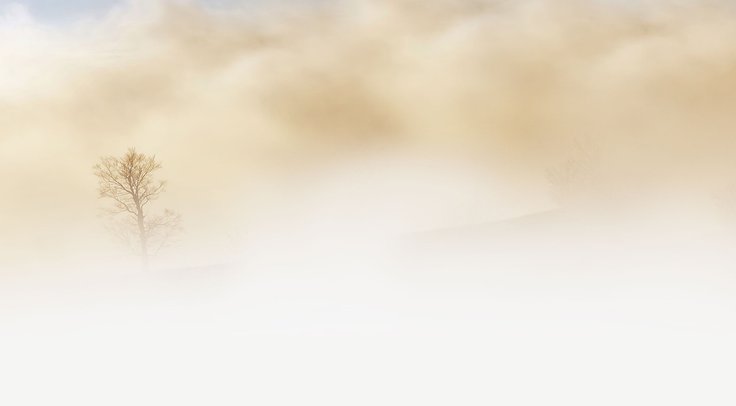 blog 5