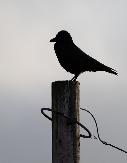 slider 1