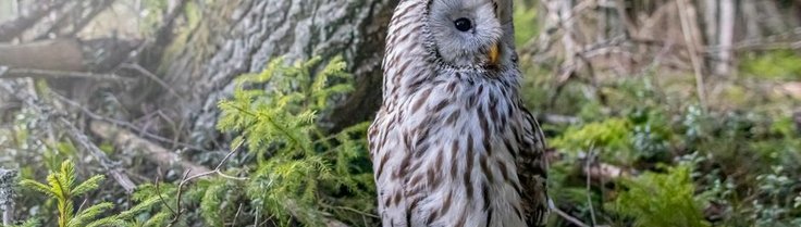 blog 3